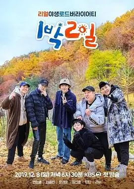 修复画幅图鉴配图：修复声轨字段示意